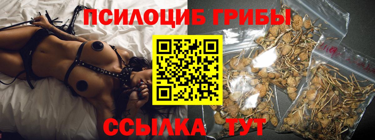 Галлюциногенные грибы Psilocybe  Псилоцибиновые грибы Psilocybe  Клинцы  Вход с VPN 
