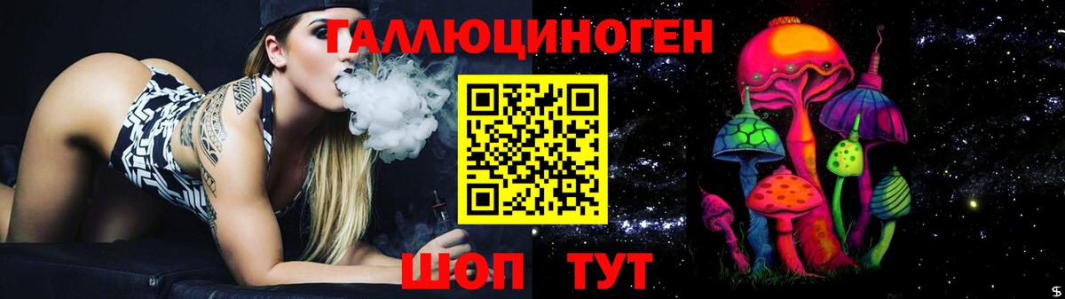 Галлюциногенные грибы Psilocybine cubensis Клинцы